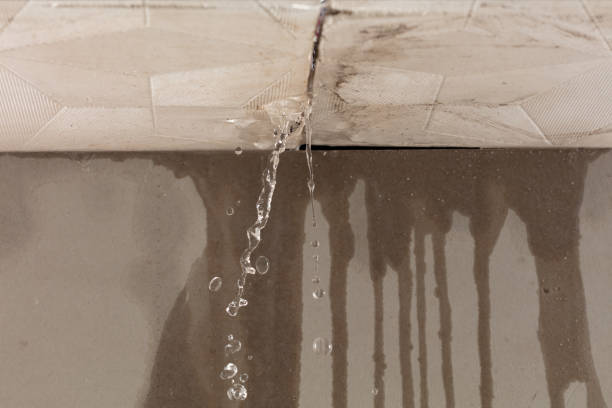 Professional Structural Drying technician working in Savannah, MO